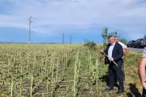 След дъжд качулка, а след градушка - празни обещания