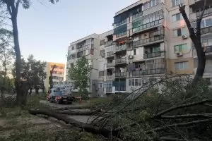 Колкото и да пече - безмилостно се сече
