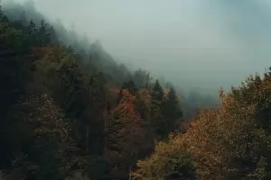 Седмичен хороскоп