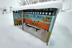 Кмет бе отстранен заради участие в неработеща фирма
