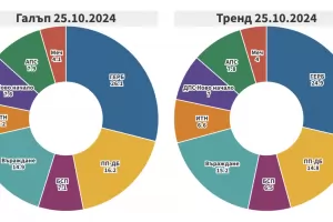 "Тренд" и "Галъп": Не 7, а 8 партии влизат в парламента