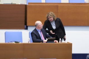 Какво работи парламентът Това е въпросът който хората си задават