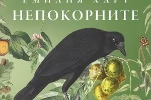 Най-добър дебют и исторически роман за 2023-та, според читателите в Goodreads