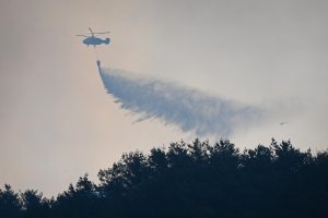 В понеделник горските пожари се разпростряха още повече в Южна