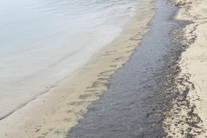 Петна от мазут на варненския бряг бяха забелязани от граждани