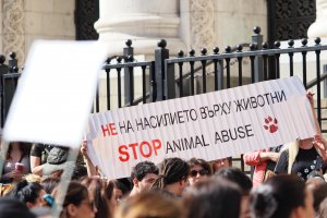 Стотици граждани част от тях с домашните си любимци излязоха