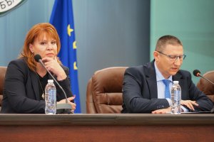 Доклад от проверка дали са водени дела бухалки причинили осъждане на