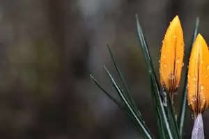 Седмичен хороскоп