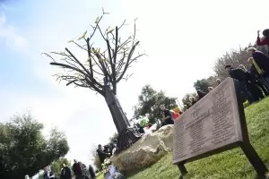 В Солун бе открит паметник на жертвите на влаковата катастрофа