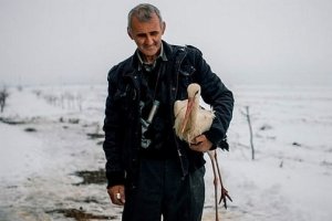 Сафет Халид от силистренското село Зарица отново спасява щъркели във