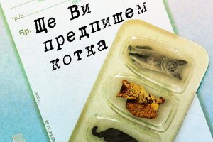 Ще Ви предпишем котка Шо Ишидапревод Деница Райкова издателство Peppermill