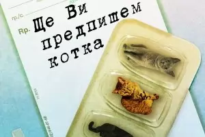 Една котка на ден държи доктора далеч от мен