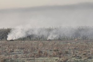 Има ли метод за опазване на овошките при студ Ако