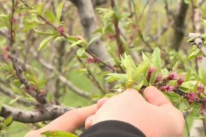 Снеговалежът и ниските температури нетипични за това време на годината