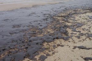 Замърсяването с мазут на варненския бряг стана причина областният управител