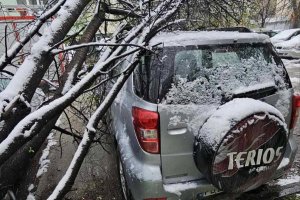 Нетипичното за последните години снежно априлско време не минава без