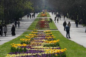 Реални части от имоти – държавна собственост са приобщени към