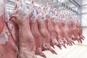 Българската агенция за безопасност на храните БАБХ започва масирани проверки