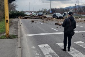 Голямо дърво се стовари на платното на столичния булевард Цариградско