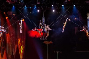 През април но следващата година българската публика ще има възможността