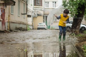 Преди да тръгне на път или просто излезе от вкъщи