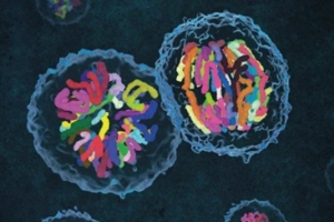 Наши млади изследователи постигнаха впечатляващо научно откритие в областта на