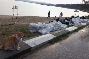 Източникът на варненското замърсяване с мазут на 31 март може