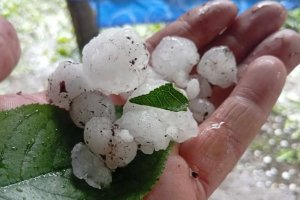 Интензивни градушки удариха на почти половината територия на страната а