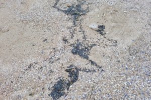 Още петна и топчета мазут се появиха на поморийския бряг