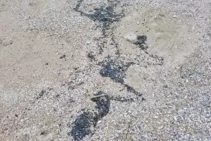 Още мазут се появи на брега в Поморие