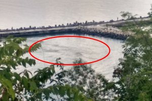 Тъмни петна с неясен засега произход отново се появиха в