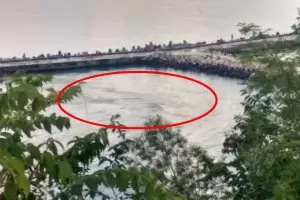 Отново се появиха тъмни петна в морето край Варна