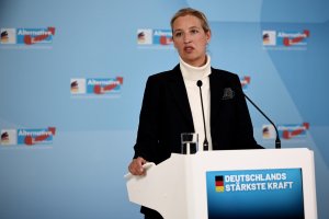 Федералната служба за защита на конституцията BfV класифицира Алтернатива за