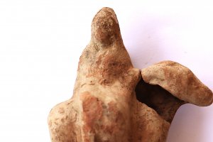 Пет керамични съда керамична лампа и 11 римски монети са