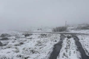 Сняг заваля на Витоша днес Истинска зима е сега във