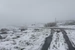 Седем области вече са с червен код за проливен дъжд