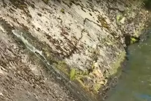 МС отпуска спешно пари за теч на язовир "Панчарево"