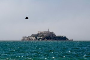 Президентът на САЩ Доналд Тръмп заяви че ще нареди на