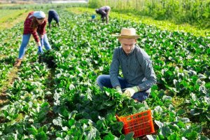 Националната агенция за приходите напомня на самоосигуряващите се за промените