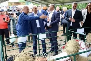 Абе, къде е Радев? Защо не е на барикадите срещу еврото?