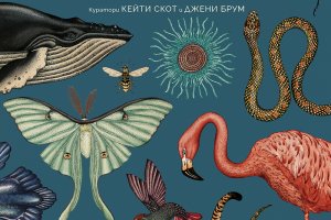Музеят на животните Джени Брум Кейти Скотпревод Александър Маринов Санчо издателство