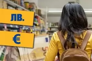 Как (не) се въвежда евро 