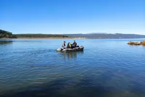 Питейната вода в София мирише заради фитопланктона