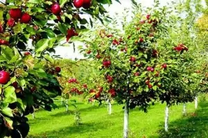 Фермерите заспориха за закона за търговските надценки