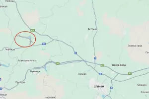 Полицай видял черния леопард по пътя към Разград