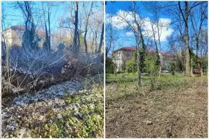 Стартира петиция срещу плана да се продаде парк и учебни сгради на СУ