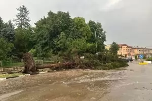 Жена загина при летните бури в Румъния