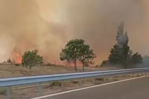 200 пожара са горели за един ден