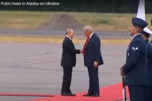 Треска за златен дъжд