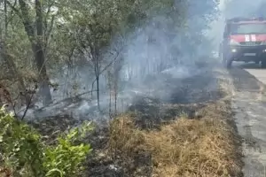 Пожар затвори пътя София - Варна в района на Боаза 